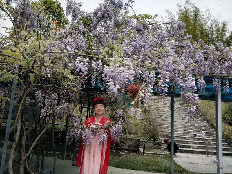莉莉的第一张照片--政和婚介网