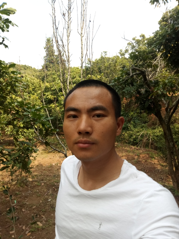 简单的第一张照片--政和婚介网