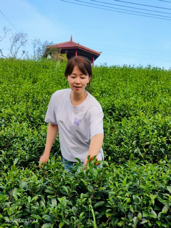 Q绮芳的第一张照片--政和婚介网